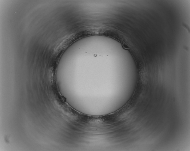 X0000103470594200809261906