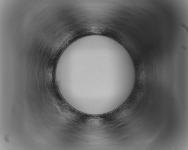 X0000103470595200809261906