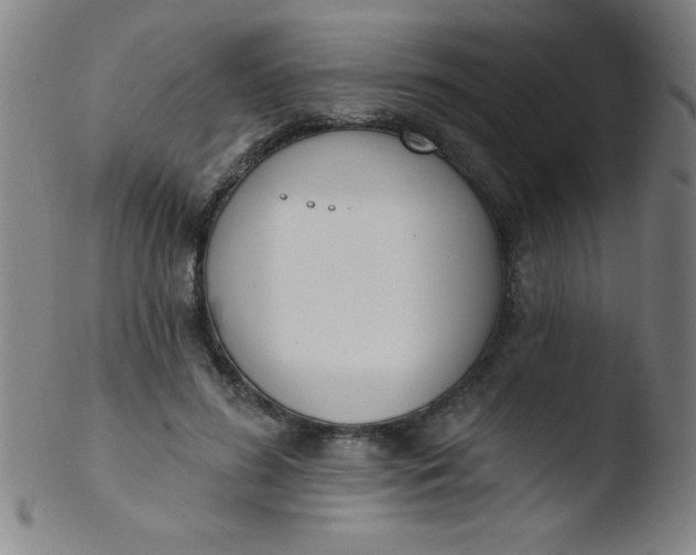 X0000103470596200809261906