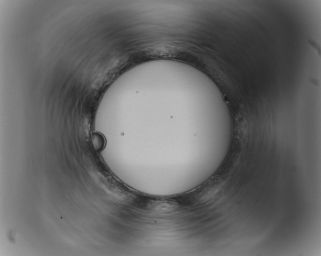 X0000103470597200809261906