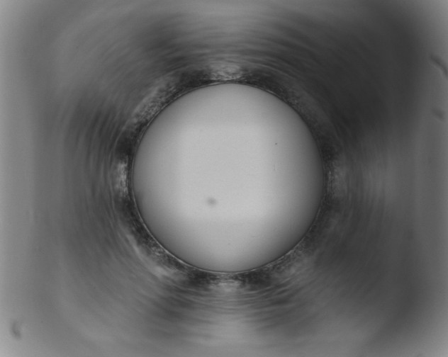 X0000103470598200809261906