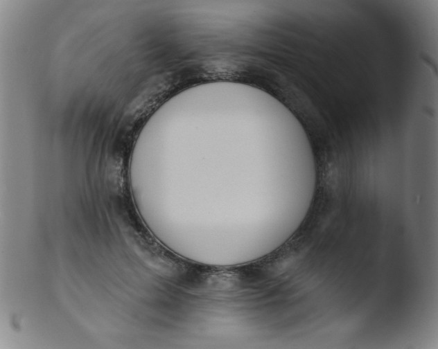 X0000103470599200809261906