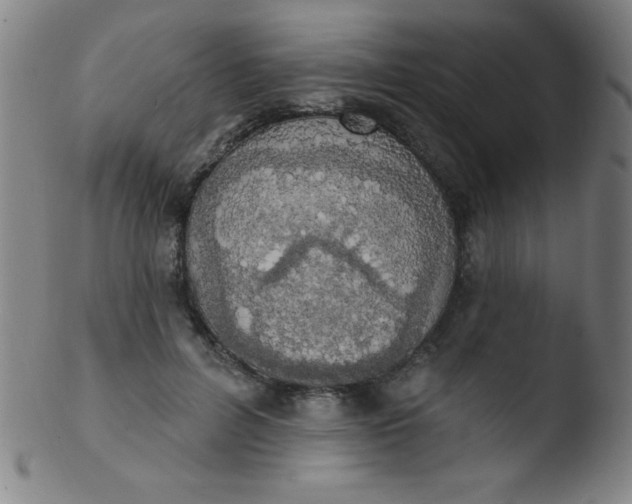 X0000103470600200809261906