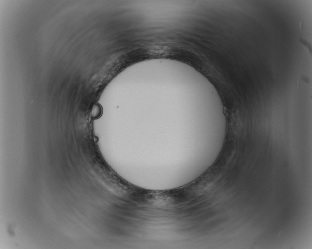 X0000103470601200809261906