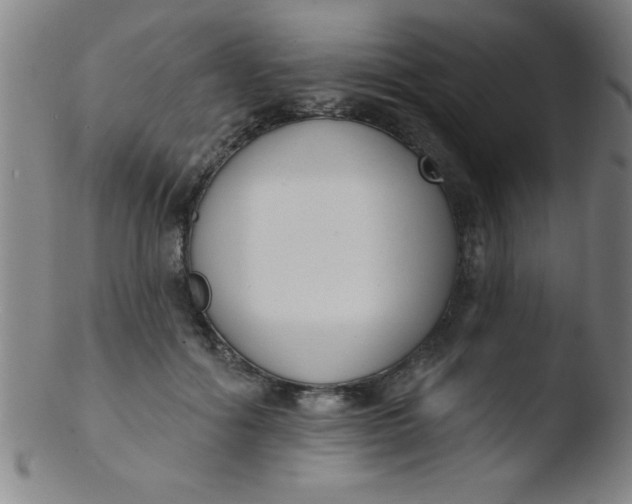 X0000103470602200809261906