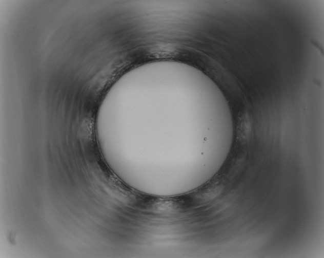 X0000103470604200809261906