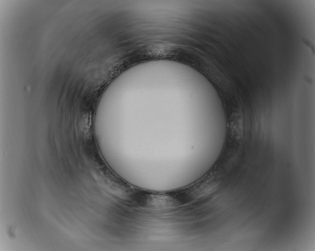 X0000103470605200809261906