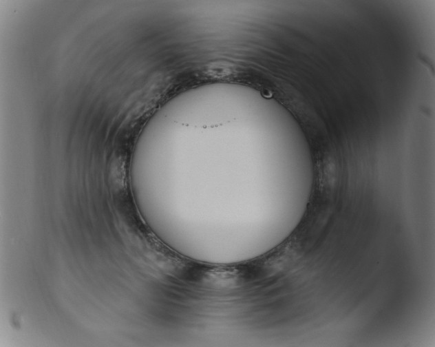 X0000103470606200809261906