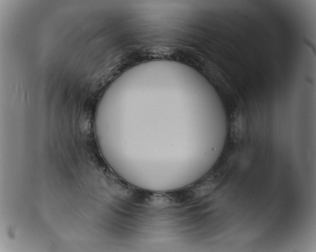 X0000103470608200809261906