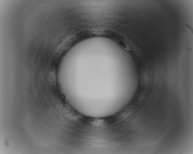 X0000103470609200809261906