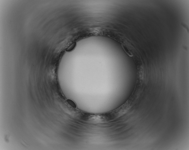 X0000103470611200809261906