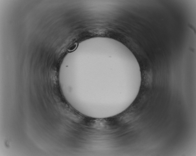 X0000103470612200809261906