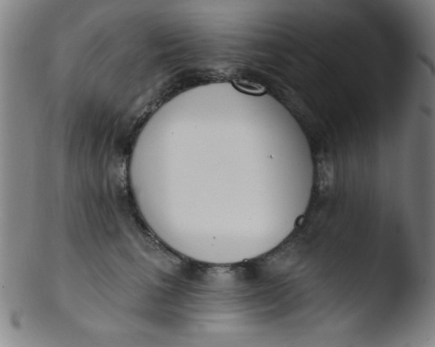 X0000103470613200809261906