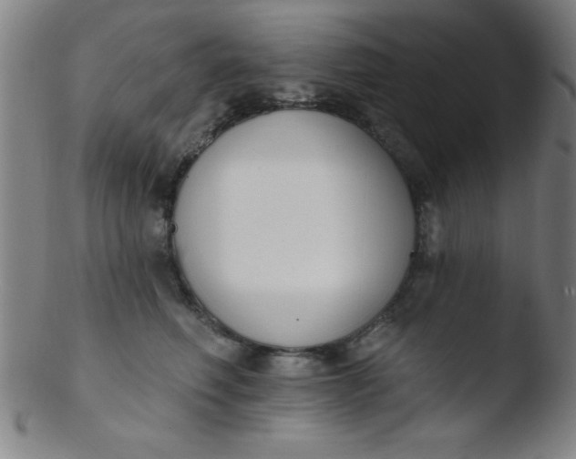 X0000103470614200809261906