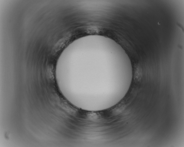 X0000103470616200809261906