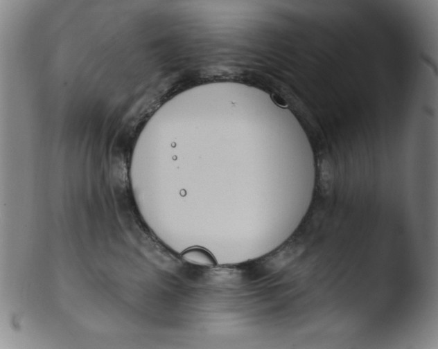 X0000103470617200809261906