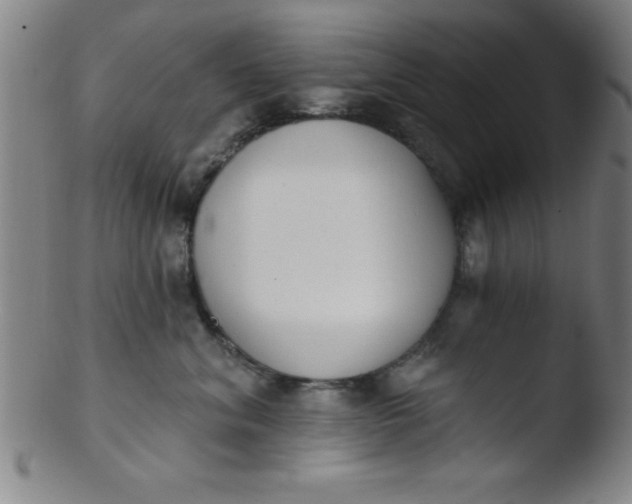 X0000103470620200809261906