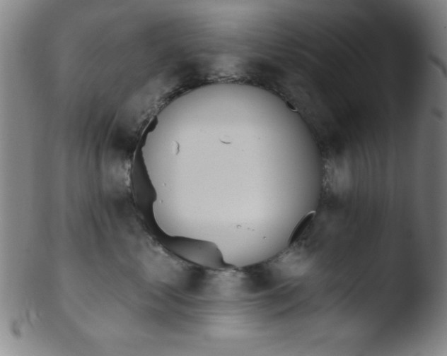 X0000103470621200809261906