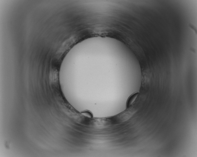 X0000103470623200809261906