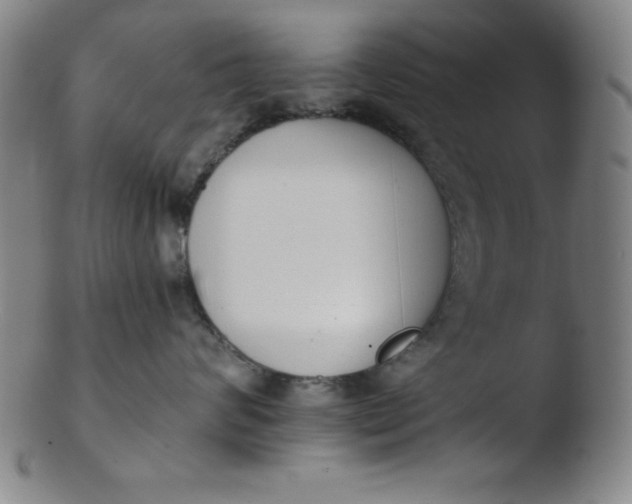 X0000103470624200809261906