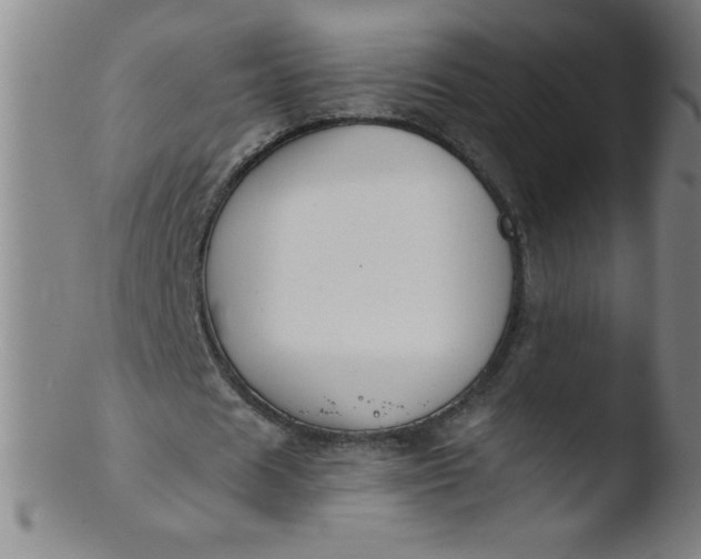 X0000103470625200809261905