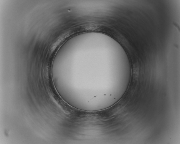 X0000103470626200809261905