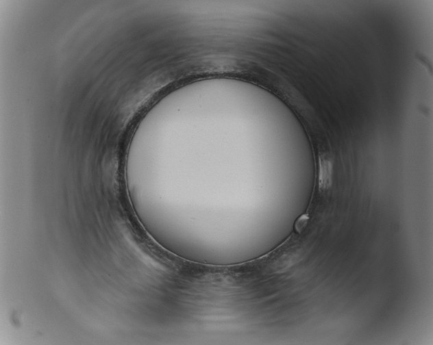 X0000103470627200809261905