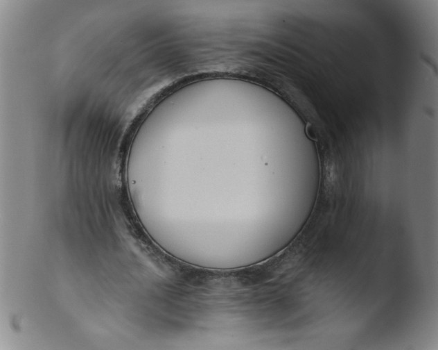 X0000103470628200809261905