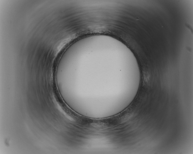 X0000103470630200809261905