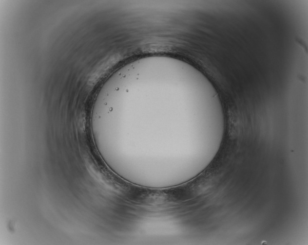 X0000103470631200809261905