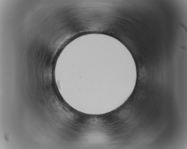 X0000103470632200809261905