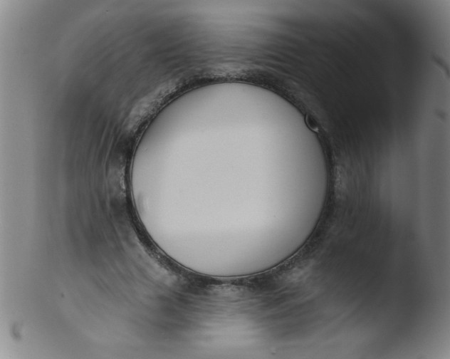 X0000103470633200809261905