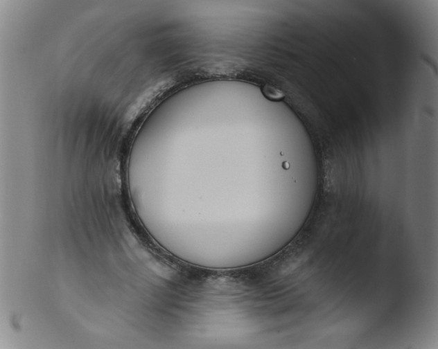 X0000103470634200809261905