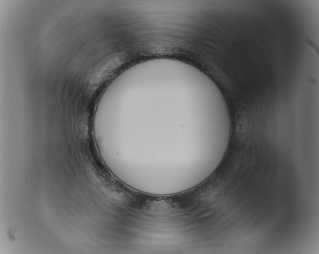 X0000103470635200809261905