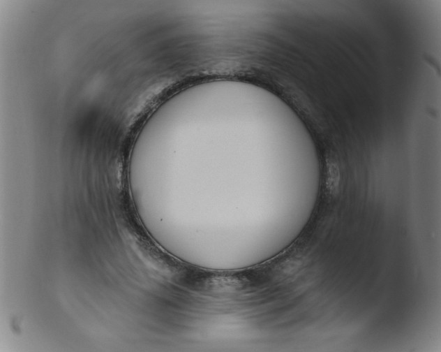 X0000103470636200809261905