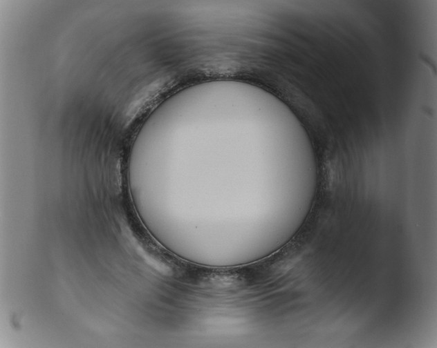 X0000103470638200809261905