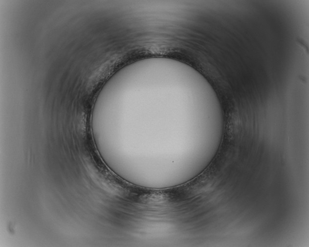 X0000103470639200809261905