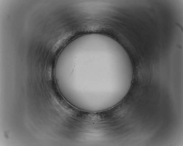 X0000103470640200809261905