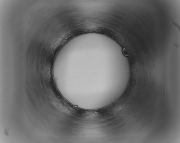 X0000103470642200809261905