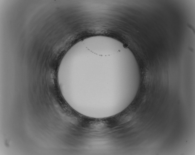 X0000103470643200809261905