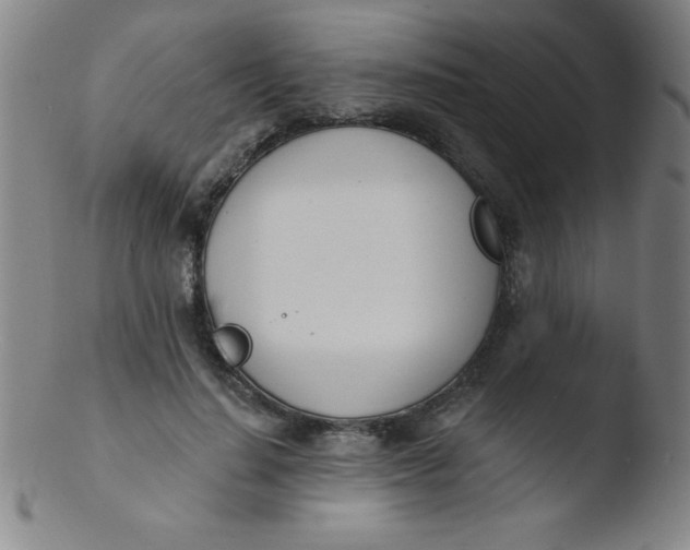 X0000103470644200809261905