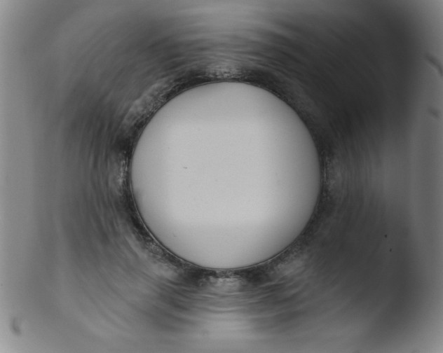 X0000103470645200809261905