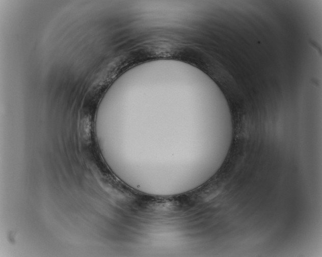 X0000103470646200809261905