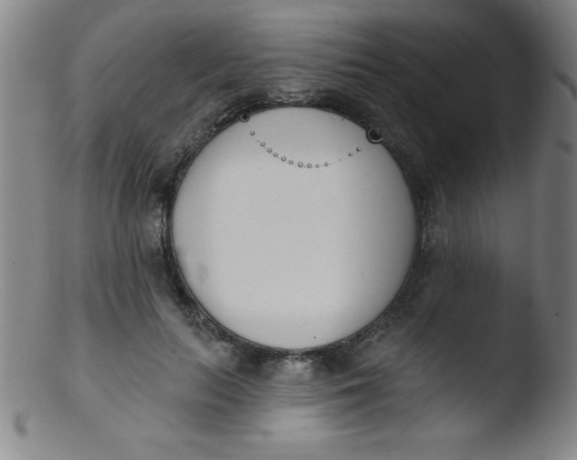 X0000103470647200809261905