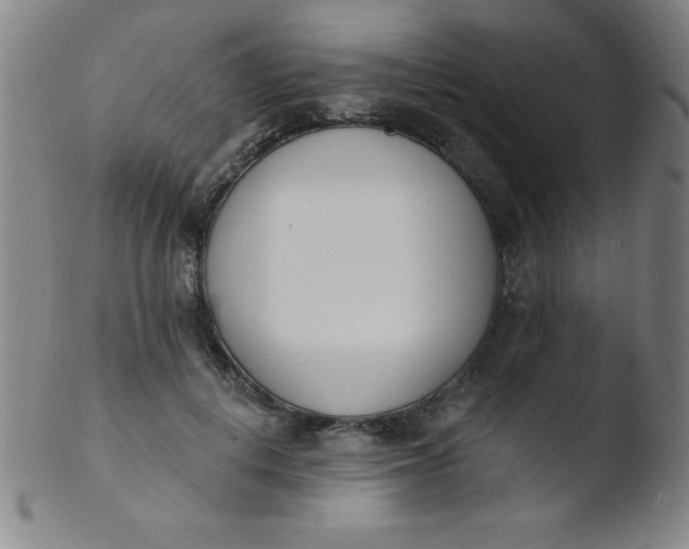 X0000103470648200809261905