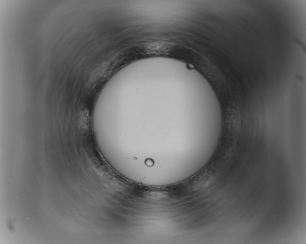 X0000103470649200809261905