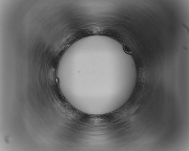 X0000103470650200809261905