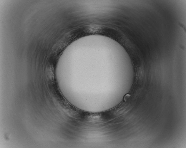 X0000103470651200809261905