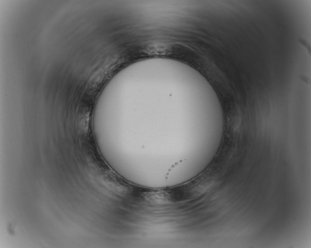 X0000103470652200809261905