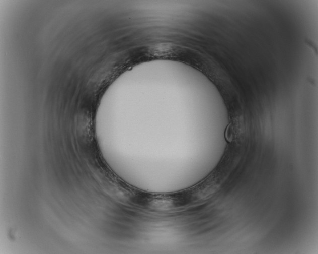 X0000103470653200809261905